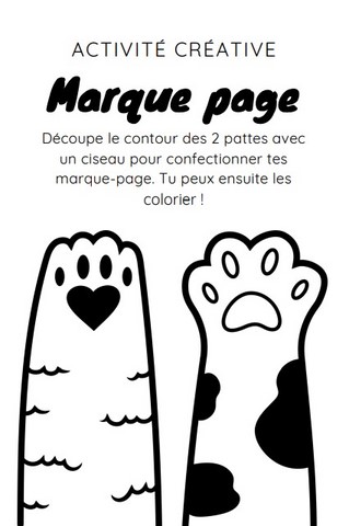 marque page chat