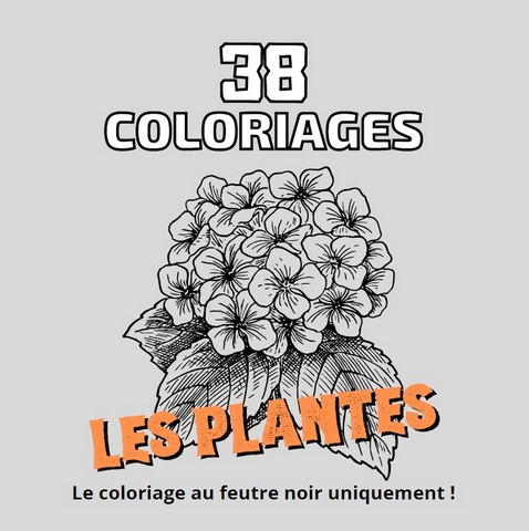 coloriage plantes